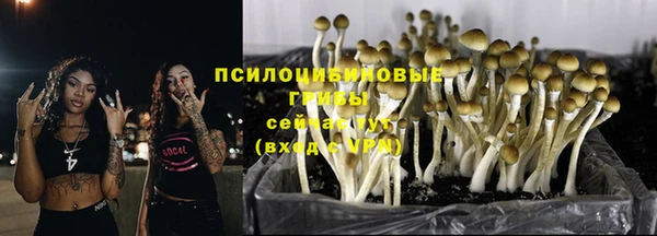 дмт Белоозёрский